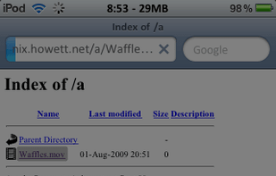 Safari Download Manager screenshot 1