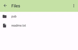 FTPClient screenshot 2