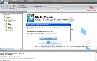 Stellar Backup Extractor for MS SQL screenshot 2