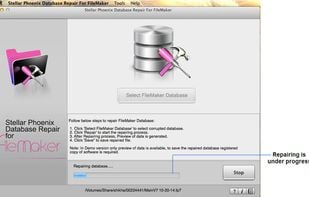 Stellar Phoenix Database Repair For FileMaker screenshot 2