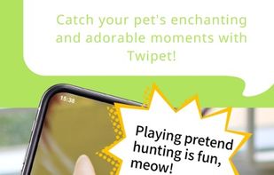 Snap your cat's playtime and Twipet translates it into cute cat chat.