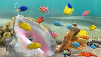 3D Aquarium Live Wallpaper HD Alternatives and Similar Apps | AlternativeTo