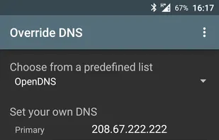 Override DNS screenshot 1