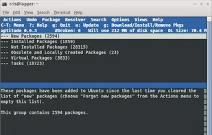 aptitude screenshot 1