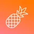 Pineapple Builder icon