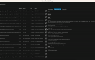 Man In The Middle Proxy screenshot 1