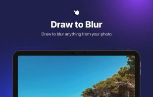 Blur Photo screenshot 3