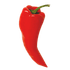 ChiliPeppr icon