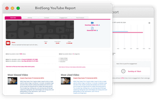 BirdSong Analytics screenshot 1