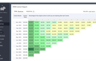 ProfitWell screenshot 1