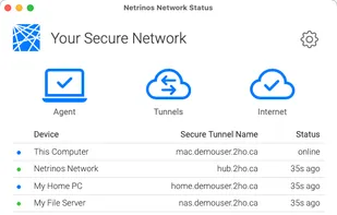 A list of all the system in your private network including their DNS names and status.