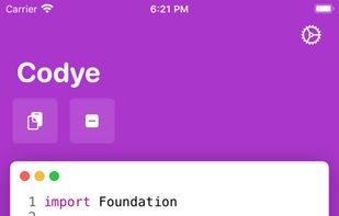 Codye screenshot 3