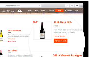 Add e-Commerce to your site.