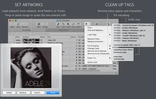 Set artworks and clean up tags of extra spaces, characters, and wrong encoding.