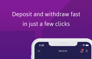 BrickWallet screenshot 2