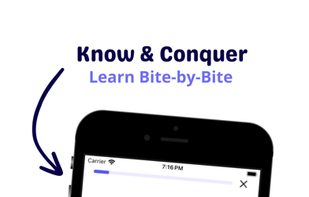 bite-sized learning module