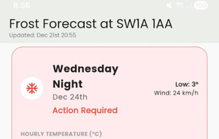 Frost forecast by day