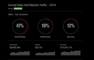 Sales & Website Traffic Dashboard Sample