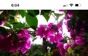 BluePlayer screenshot 1