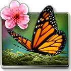 Season Zen Live Wallpaper icon