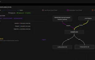 Searching for a domain name