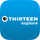 THIRTEEN icon