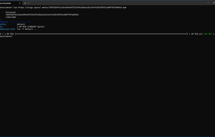 Lux Video Downloader screenshot 2