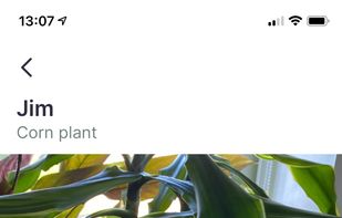 Jungled screenshot 2