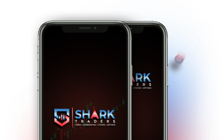 Shark Traders screenshot 3