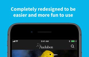 Audubon Bird Guide screenshot 1