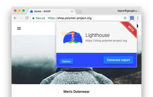 Google Lighthouse screenshot 3