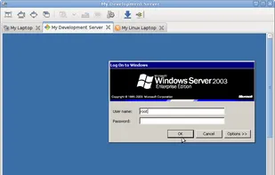 Remmina screenshot 2