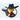 Crazy Chicken icon