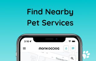 Monkoodog screenshot 2