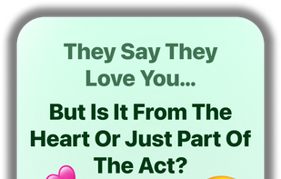 WA Analyzer screenshot 1