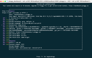 Introspecting HTTP Headers with Pinggy