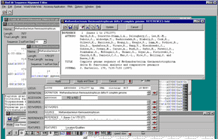 BioEdit screenshot 1