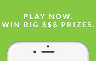 Fleetwit screenshot 1