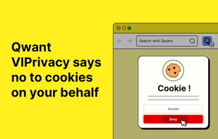 Qwant VIPrivacy screenshot 3