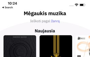 Pakartot screenshot 1