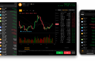 Fox.ONE screenshot 1