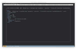 json-log-viewer screenshot 1