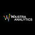 Waistra Analytics icon