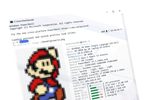 Winfetch by Kiëd Llaentenn screenshot 1