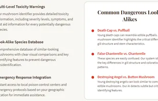 Mushroom Identification screenshot 2