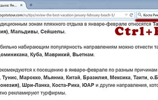 Insite Search screenshot 1