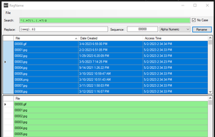 RegName screenshot 1