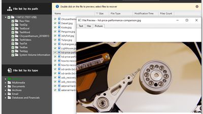 RecoveryRobot Hard Drive Recovery - Image Preview