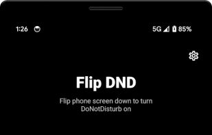 Flip DND screenshot 1