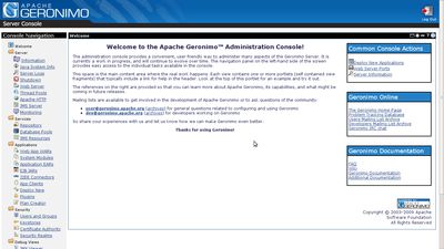 The administration console for the application server.